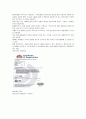 푸르지오(prugio)마케팅전략과 경영분석 4페이지