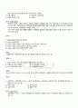 2010년 2학기 청소년복지 출석대체시험 핵심체크 5페이지
