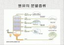 Distillation(증류)-예비실험보고서 11페이지