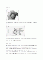유방암 간호진단[breast ca] 1페이지