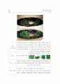 조경인테리어실습 포트폴리오 4페이지