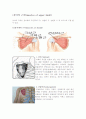 상지근레포트 2페이지