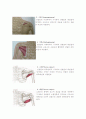 상지근레포트 3페이지