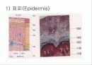 간호사 창상관리 컨퍼런스 3페이지