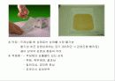 간호사 창상관리 컨퍼런스 13페이지