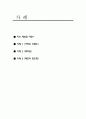 지식재산권사례 2페이지