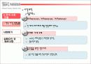 네슬레의 한국 진출 실패 및 대책 21페이지