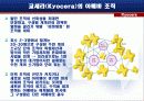 직원만족사례연구-교세라와 SAS INSTITUTE를 중심으로 14페이지