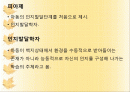 피아제 이론 (프리젠테이션) 보고서 2페이지