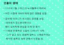 피아제 이론 (프리젠테이션) 보고서 4페이지