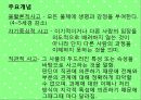 피아제 이론 (프리젠테이션) 보고서 13페이지