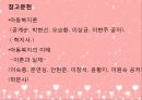 피아제 이론 (프리젠테이션) 보고서 33페이지
