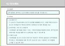 CJ그룹의 HRM 분석  10페이지