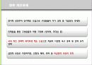 CJ그룹의 HRM 분석  23페이지