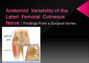 Anatomicl  Variability of the Laterl  Femoral  Cutneous  Nerve : Findings From a Surgical Series 1페이지