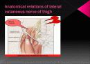 Anatomicl  Variability of the Laterl  Femoral  Cutneous  Nerve : Findings From a Surgical Series 4페이지