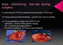 Anatomicl  Variability of the Laterl  Femoral  Cutneous  Nerve : Findings From a Surgical Series 17페이지