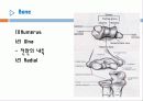   elbow joint disorser  3페이지