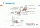   elbow joint disorser  5페이지