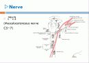   elbow joint disorser  6페이지