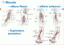   elbow joint disorser  10페이지