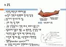   elbow joint disorser  16페이지