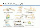   elbow joint disorser  19페이지