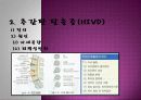 추간판탈출증 5페이지