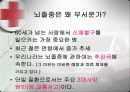 뇌졸중 환자 요양 보호   12페이지