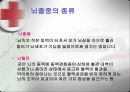 뇌졸중 환자 요양 보호   14페이지
