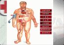 뇌졸중 환자 요양 보호   16페이지