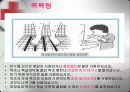 뇌졸중 환자 요양 보호   34페이지