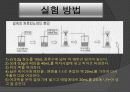 김 속의 카로티노이드 분리 실험 8페이지