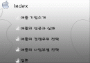 애플 기업분석 자료 2페이지