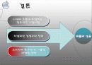 애플 기업분석 자료 19페이지