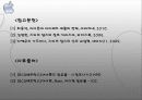애플 기업분석 자료 21페이지