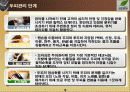 두피샵의실태파악 9페이지