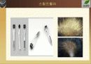 두피샵의실태파악 15페이지