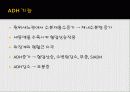 항이뇨호르몬부적절분비증후군 (SIADH) 3페이지