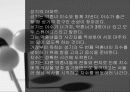 대학로 연극  4페이지