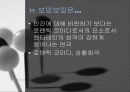 대학로 연극  10페이지