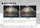 백핸드 스프링의 동작분석 (역학적 분석) 13페이지