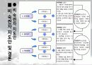 백핸드 스프링의 동작분석 (역학적 분석) 14페이지