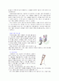장애인에 대한 자원봉사자의 역할과 자세(장애인에 대한 예절, 에티켓, 휠체어, 자원봉사자역할과 자세) 보고서 9페이지