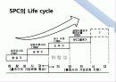 AGES를 통한 SPC그룹 조사 12페이지