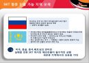 SK Telecom(SK텔레콤) 해외 진출 사례 - 미국, 중국.ppt 33페이지