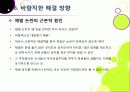 [학교체벌금지]학생 체벌 논란의 이해(학생 체벌 논란의 배경 및 핵심 쟁점과 찬반양론 정리, 체벌 문제의 바람직한 해결방안 모색 등) 23페이지