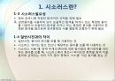 시소러스에 대해서.. 4페이지