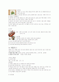 식품가공학레포트 / 나라별 과자종류 / 한,중,일,서양의 과자종류 , 과자 만드는 방법  8페이지
