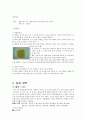 식품가공학레포트 / 나라별 과자종류 / 한,중,일,서양의 과자종류 , 과자 만드는 방법  10페이지